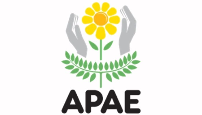 Ibema – APAE divulga balanço patrimonial de 2021